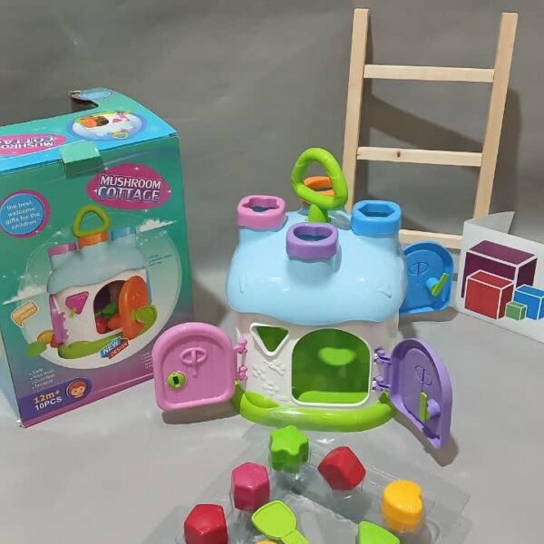 کلبه هوش قارچی